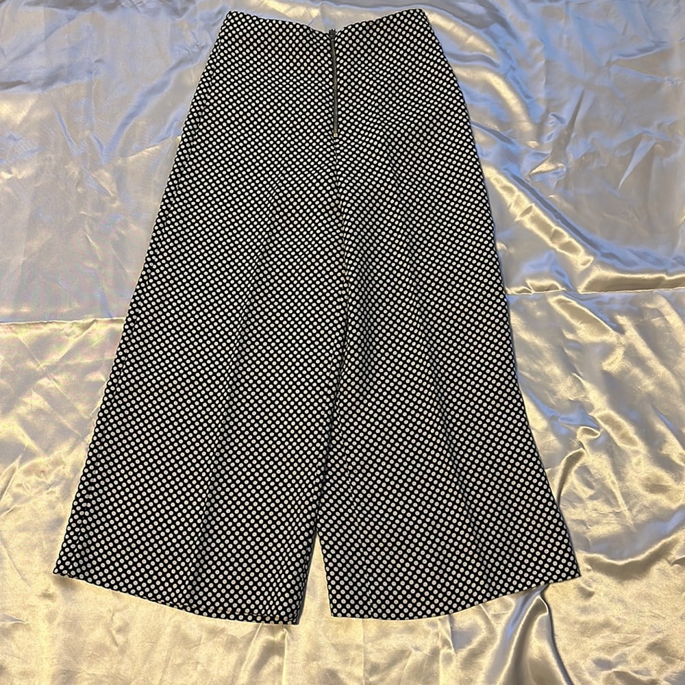 Zara Polkadots skirt pants
